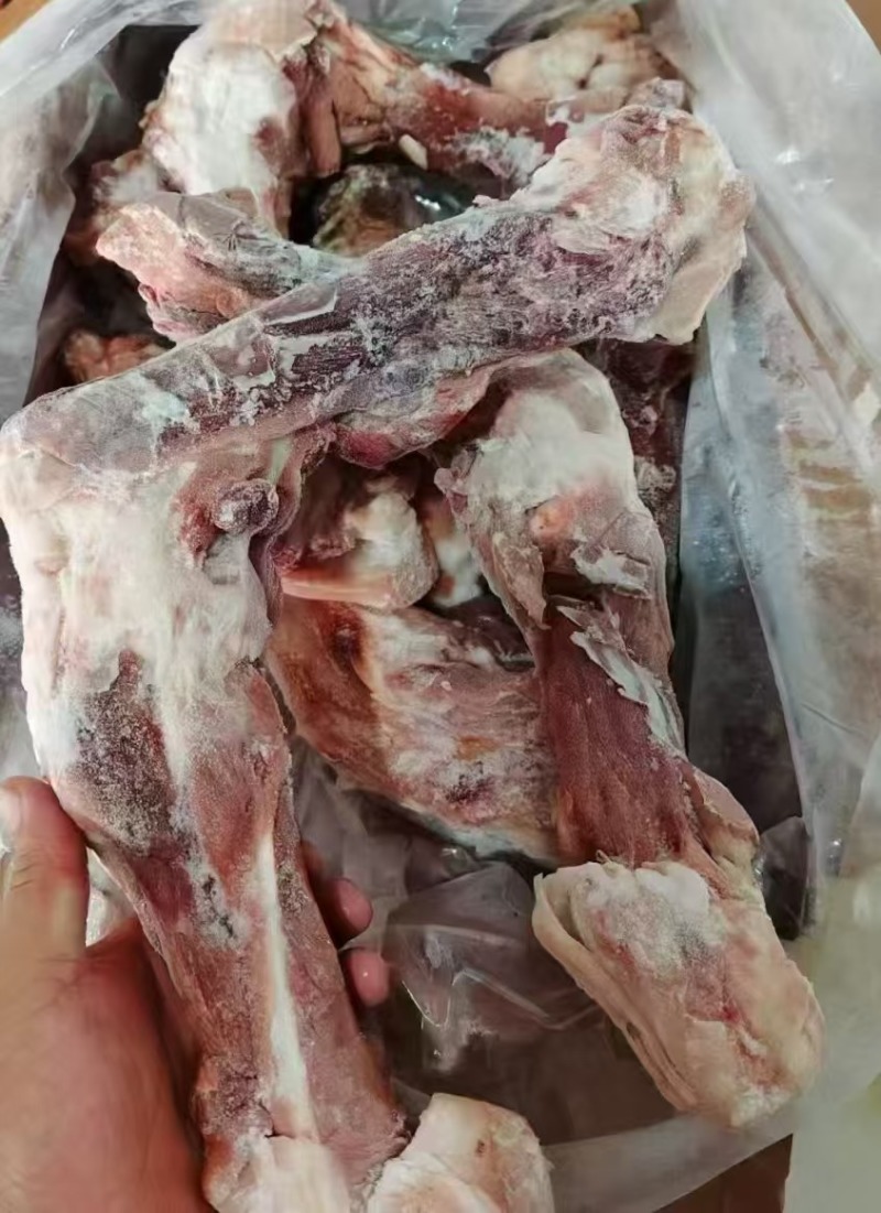 整根后腿骨