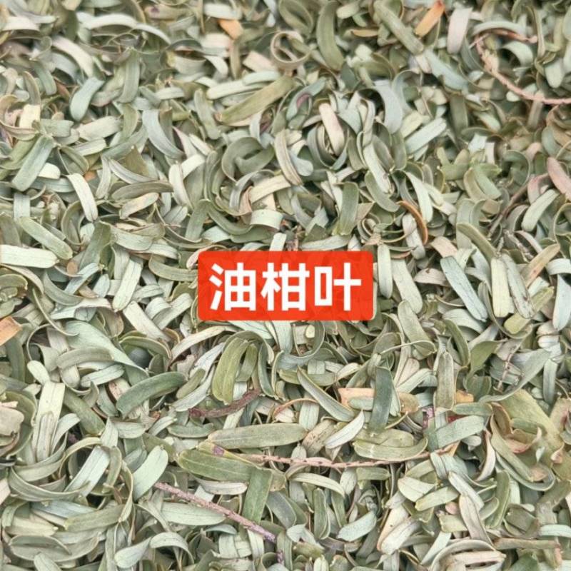 新货野生油柑叶新晒牛甘叶散装余甘子叶，油甘果叶子