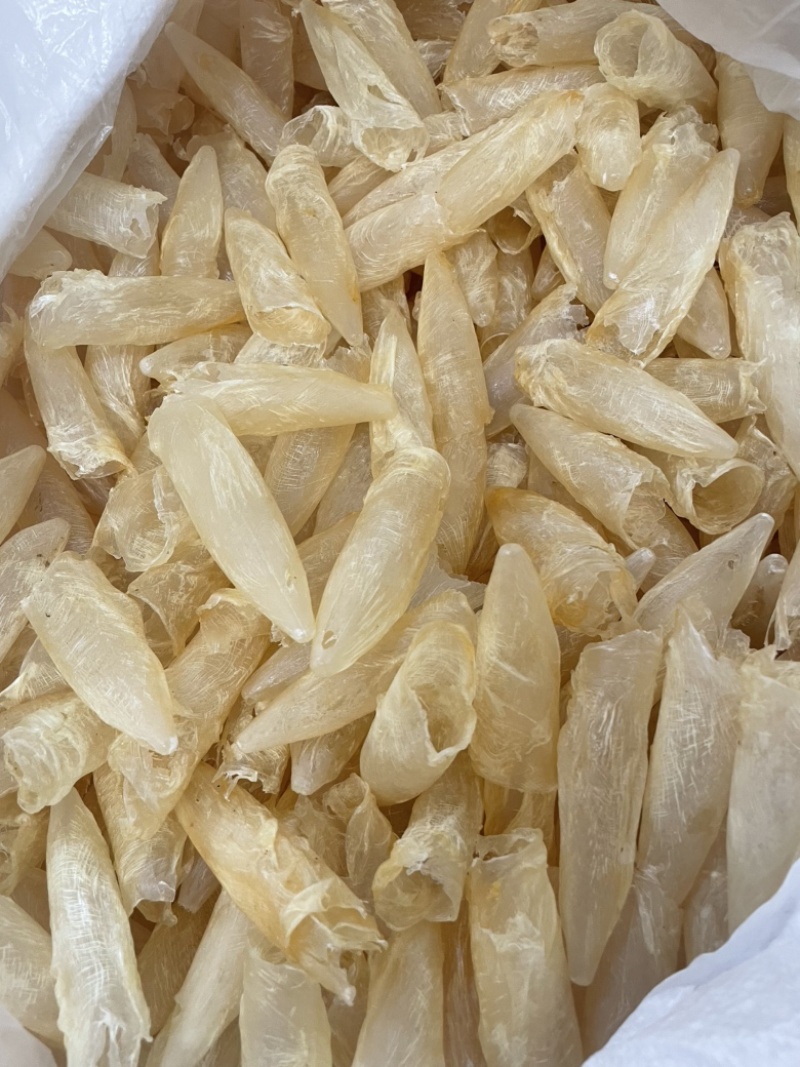 黄花鱼胶筒咸水鱼胶花胶批发零售
