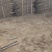 麻山药