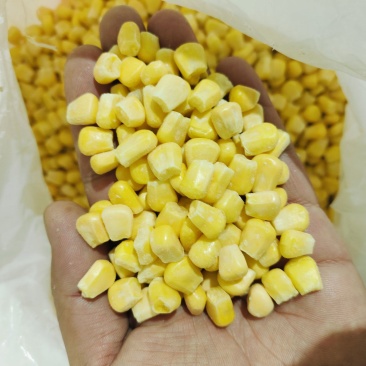 903水果玉米粒，大粒小粒