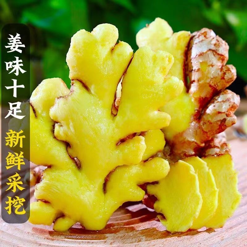 精品小黄姜生姜云南产地直供一手货源品质好价格低