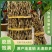 云南特级铁皮石斛枫斗正宗正品石斛干条中药材石斛芽条可磨粉