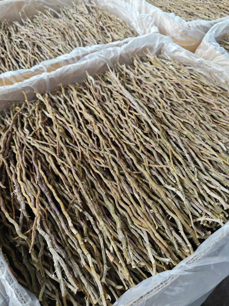 云南特级铁皮石斛枫斗正宗正品石斛干条中药材石斛芽条可磨粉