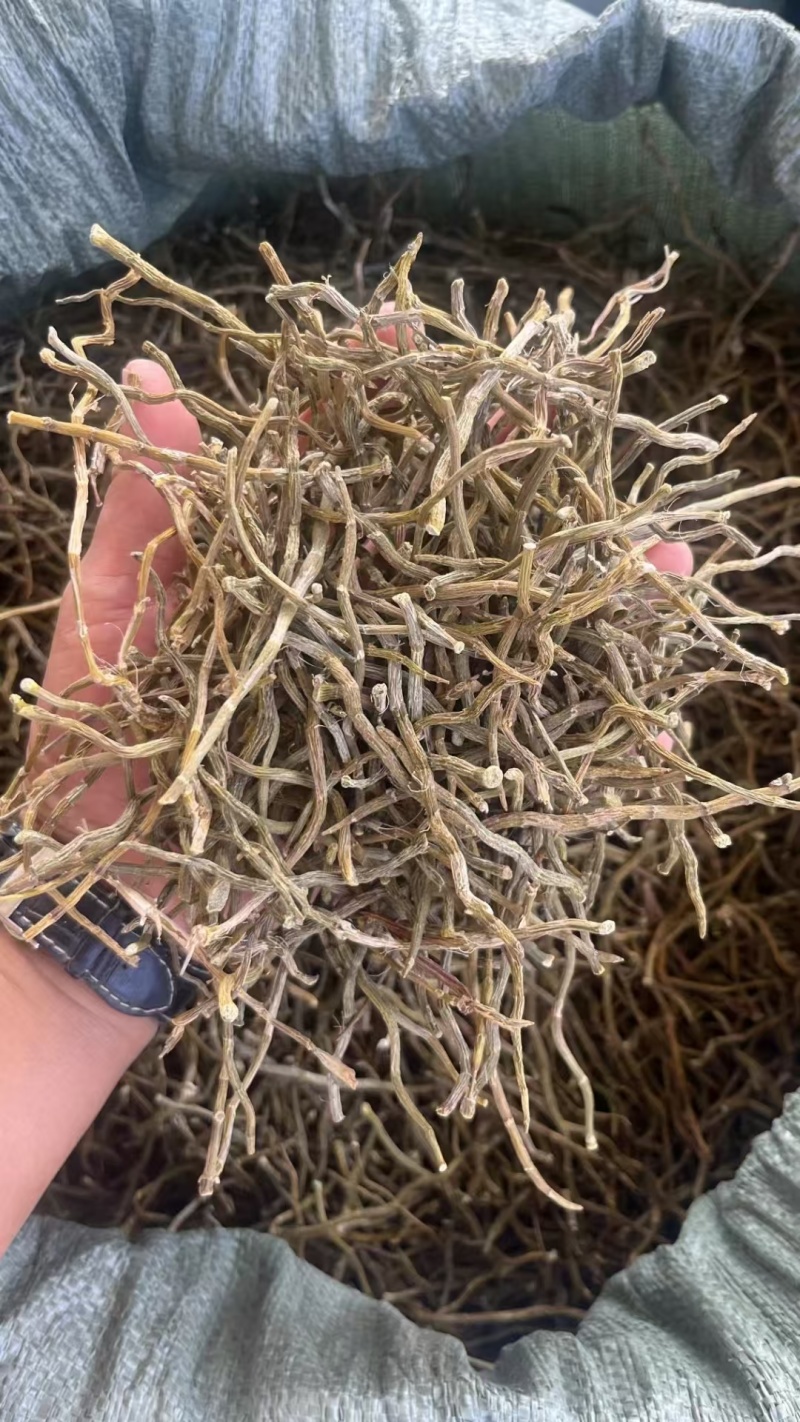 云南特级铁皮石斛枫斗正宗正品石斛干条中药材石斛芽条可磨粉