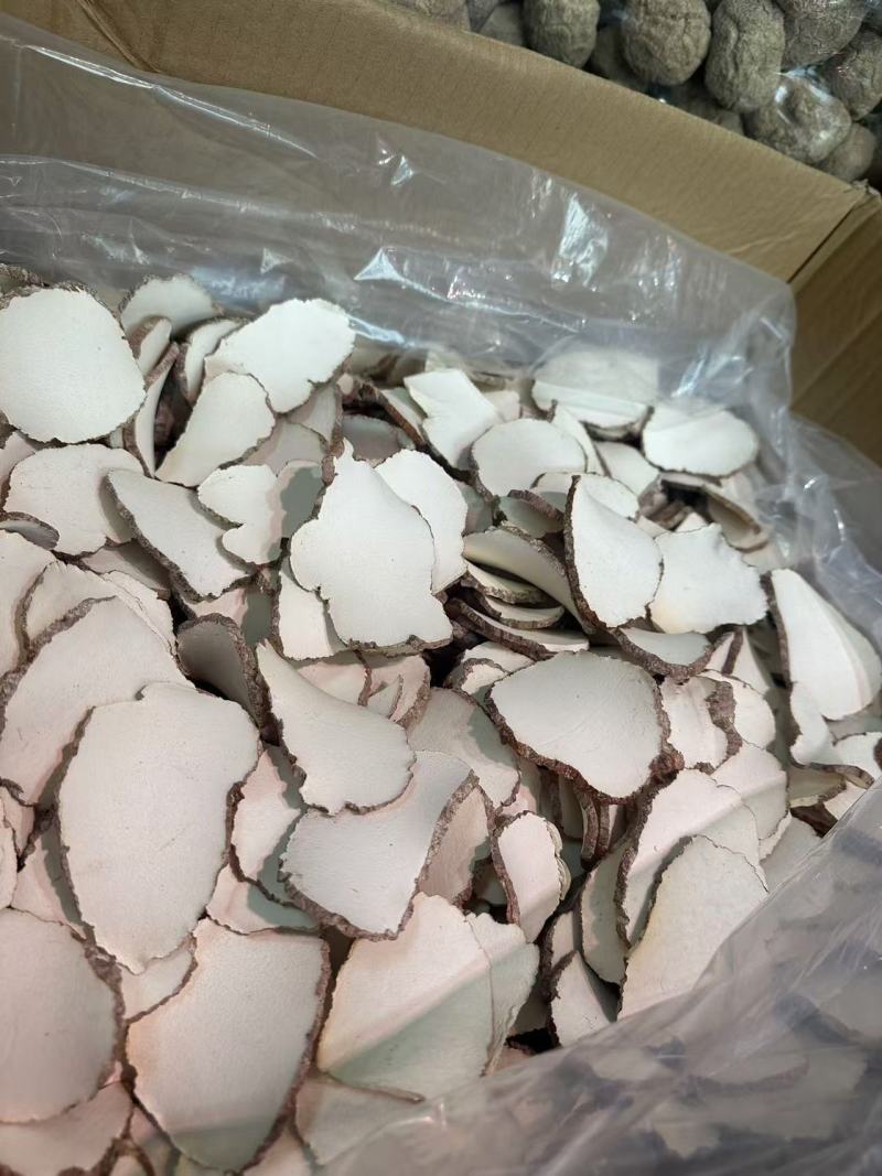 广州虎乳菌虎奶菇货源充足产地直销品质保证价格便宜欢迎咨询