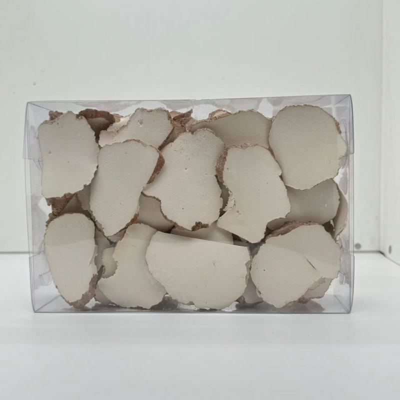 广州虎乳菌虎奶菇货源充足产地直销品质保证价格便宜欢迎咨询