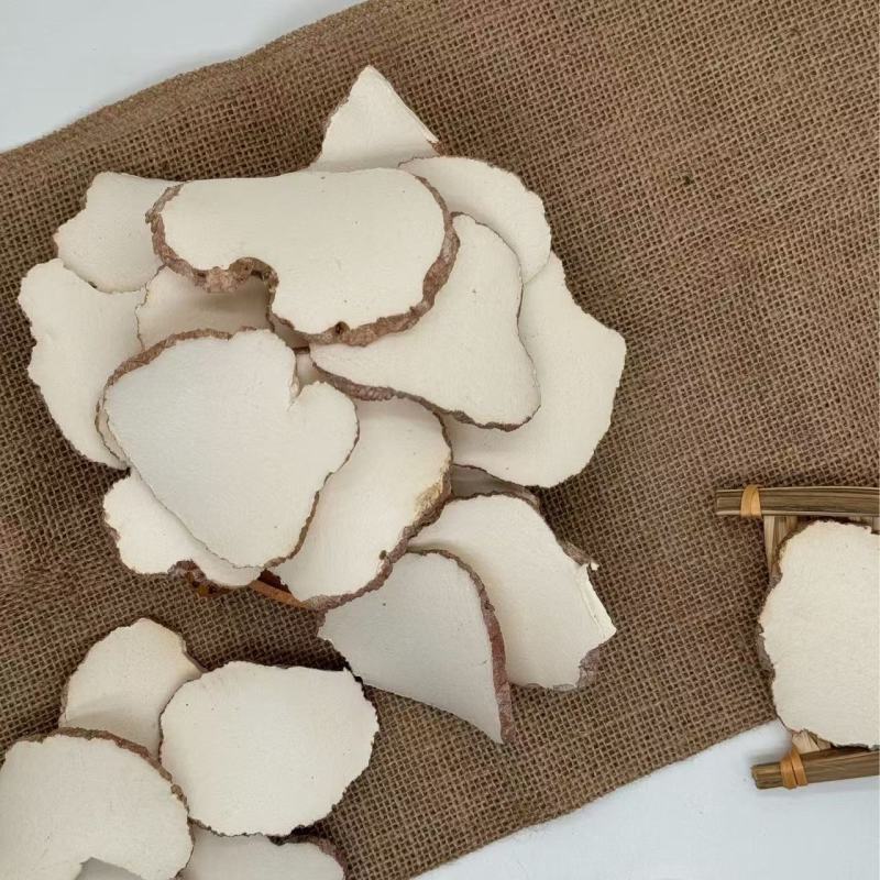 广州虎乳菌虎奶菇货源充足产地直销品质保证价格便宜欢迎咨询