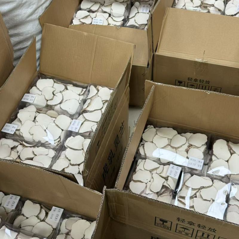 广州虎乳菌虎奶菇货源充足产地直销品质保证价格便宜欢迎咨询