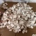 广州虎乳菌虎奶菇货源充足产地直销品质保证价格便宜欢迎咨询