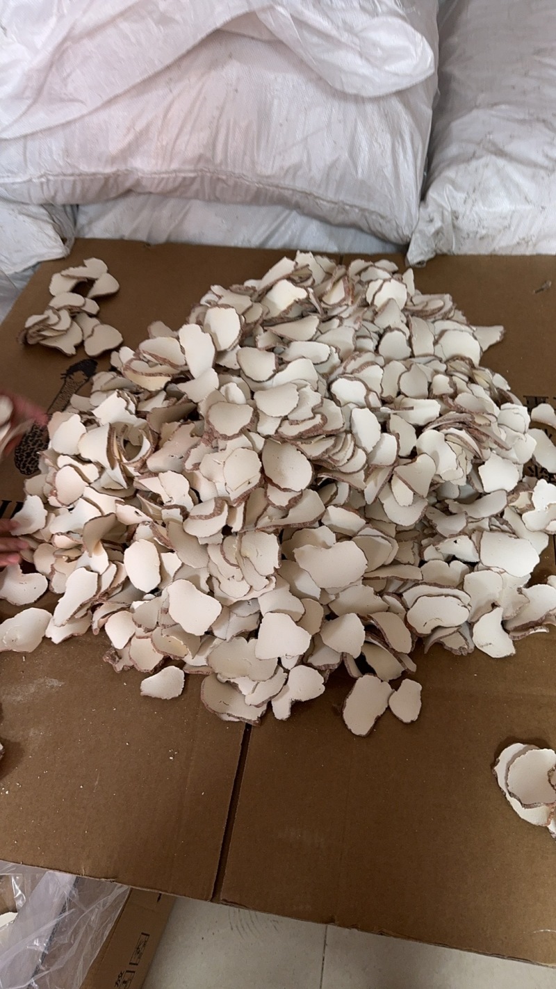 广州虎乳菌虎奶菇货源充足产地直销品质保证价格便宜欢迎咨询