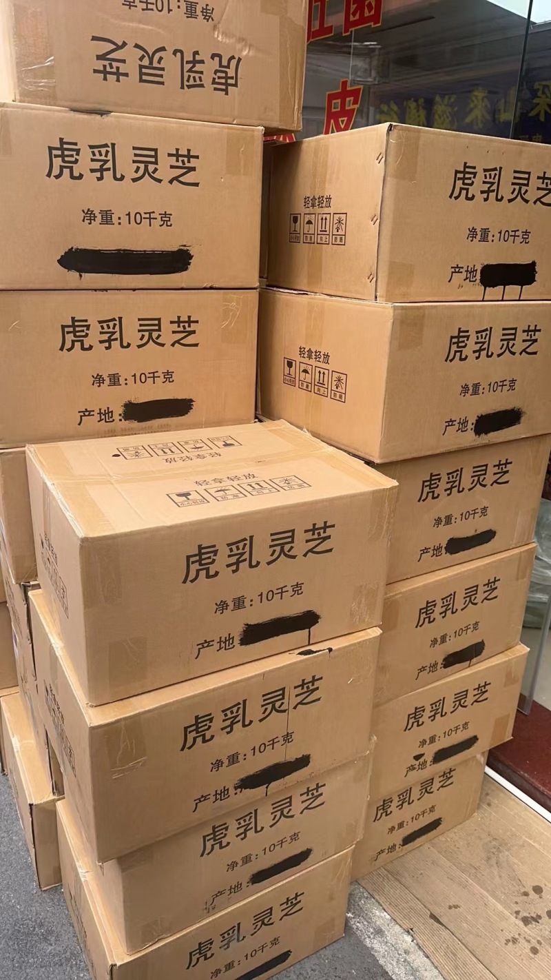 广州虎乳菌虎奶菇货源充足产地直销品质保证价格便宜欢迎咨询