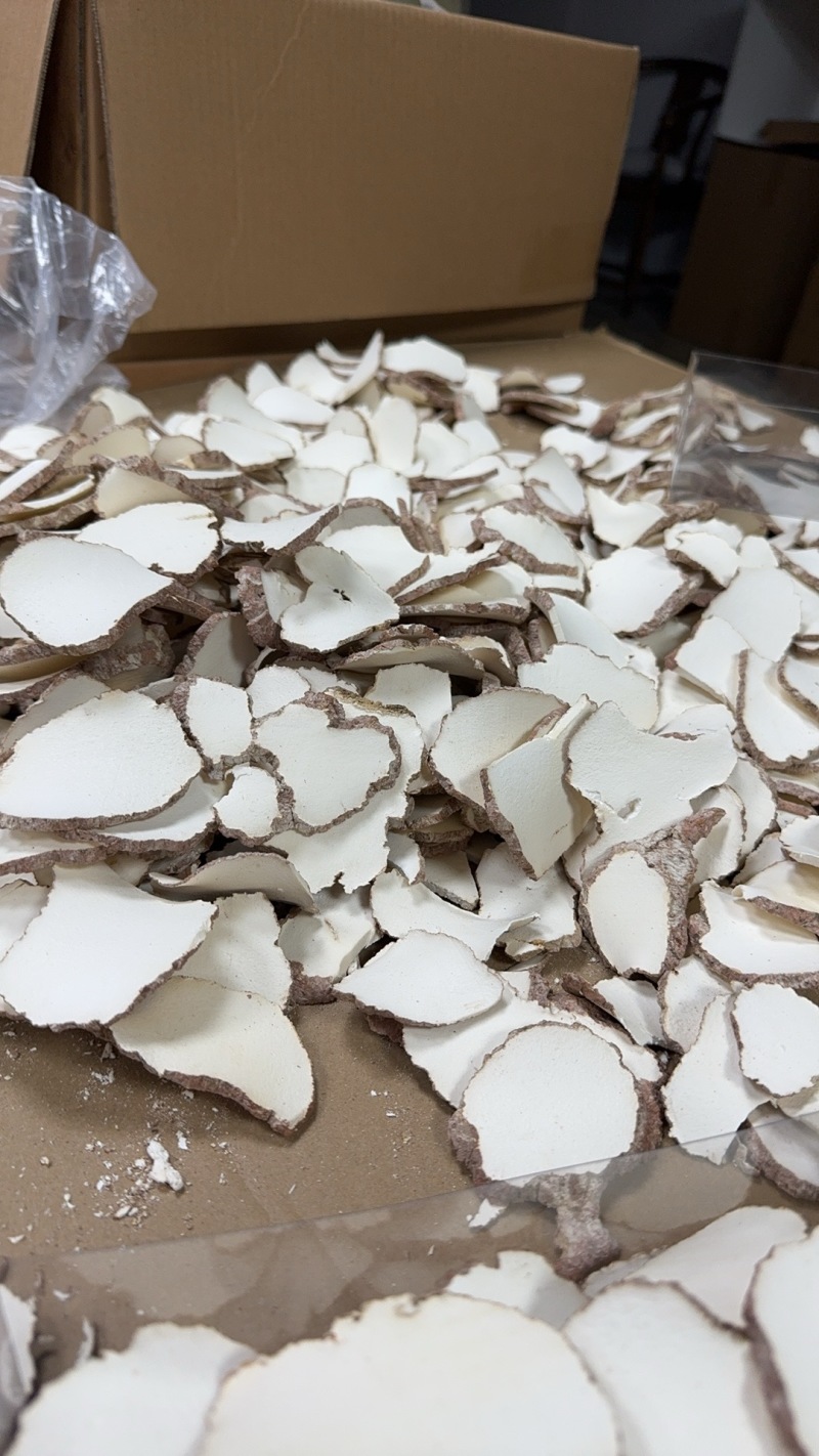 广州虎乳菌虎奶菇货源充足产地直销品质保证价格便宜欢迎咨询