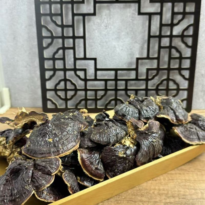 金边灵芝菌香不苦干货天然晾晒货源充足品质保证欢迎咨询