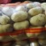 精品V七，沃土，226，西森，久恩十一大量供应