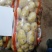 精品V七，沃土，226，西森，久恩十一大量供应