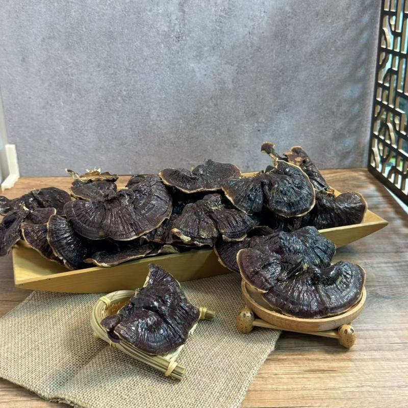 金边灵芝菌香不苦干货天然晾晒货源充足品质保证欢迎咨询