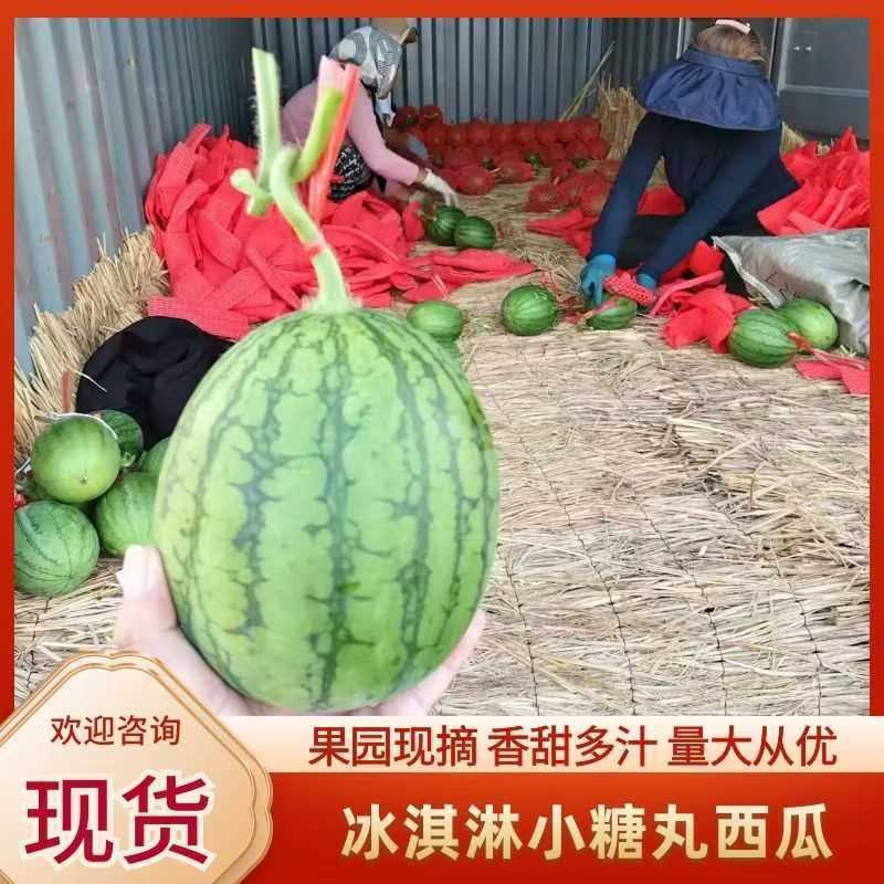 全美2k西瓜冰激凌小糖丸，礼品西瓜2K西瓜大量现货供应