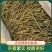 云南铁皮石斛干条石斛石斛芽条可磨粉品质好质量硬对接全国