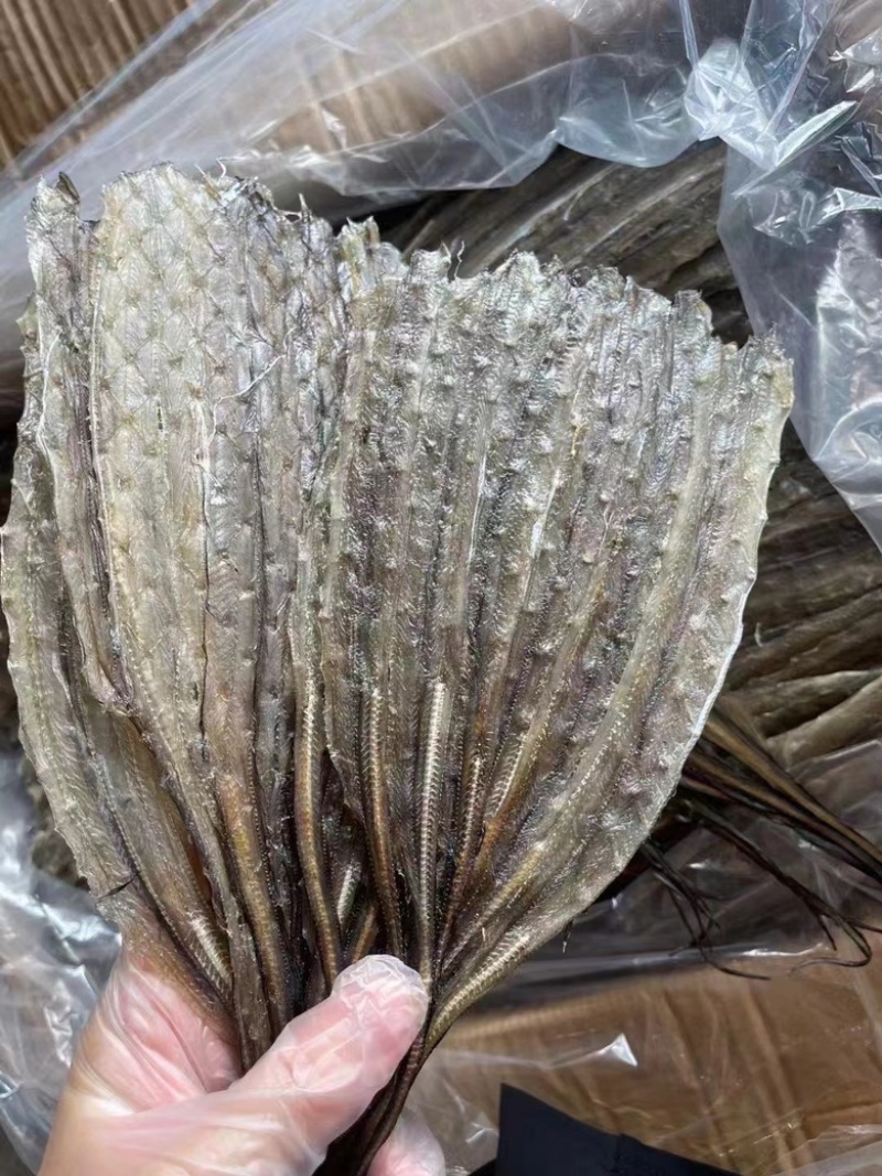 烧烤鳗鱼长期有货欢迎合作保质保量量大优惠