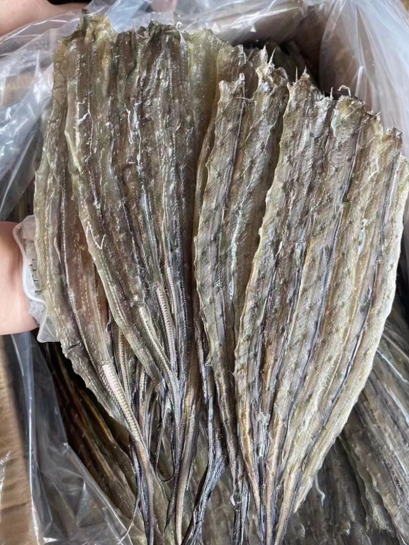 烧烤鳗鱼长期有货欢迎合作保质保量量大优惠