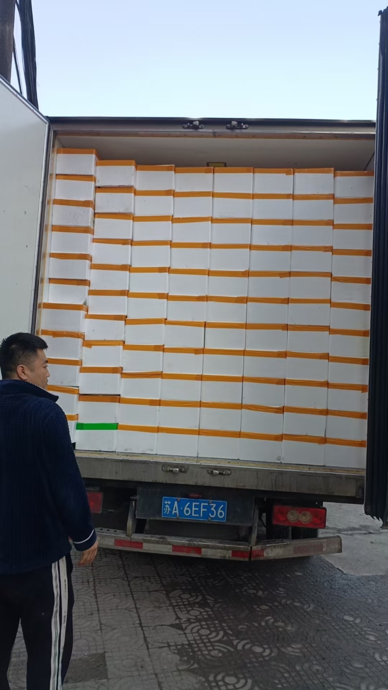 香椿芽鲜香椿芽大量现货品质保证价格可谈可视频