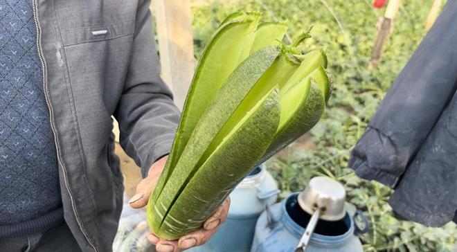 市场中正在挑选萝卜的消费者场景