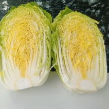 白菜北京3号，有需要联系，大量有货一手货源