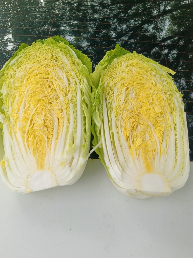 白菜北京3号，有需要联系，大量有货一手货源