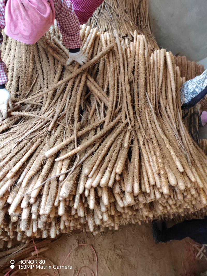 沙漠铁棍