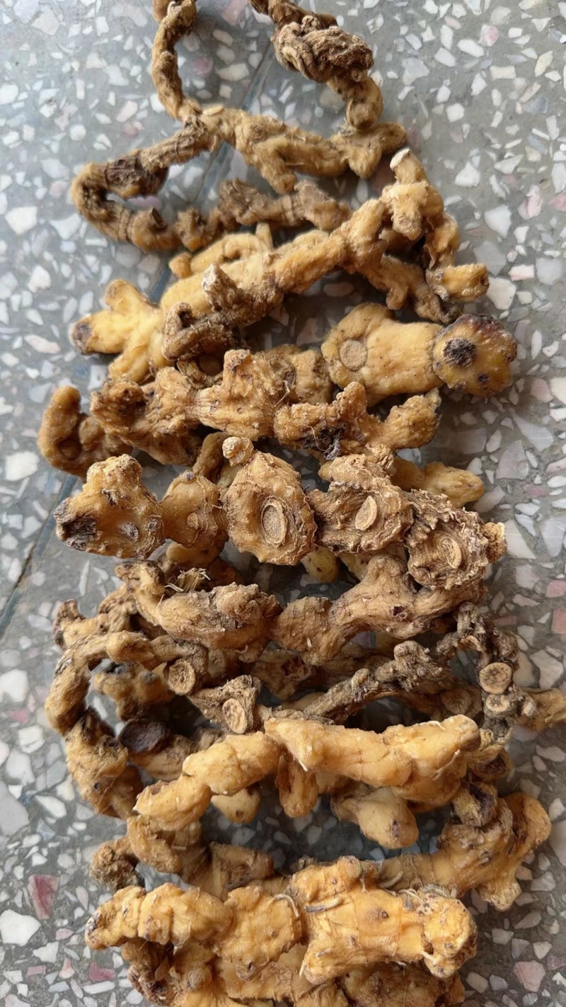高山姜形野生黄精，中大个，小个有货，