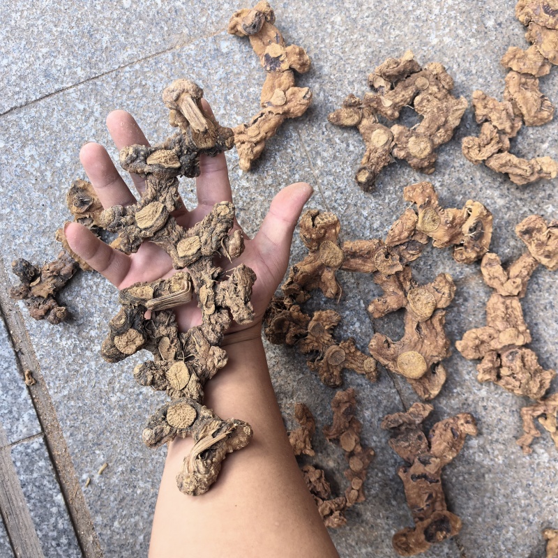 高山姜形野生黄精，中大个，小个有货，