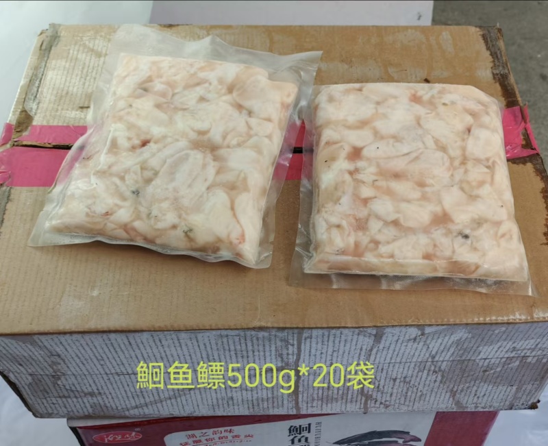 清江鮰鱼鳔