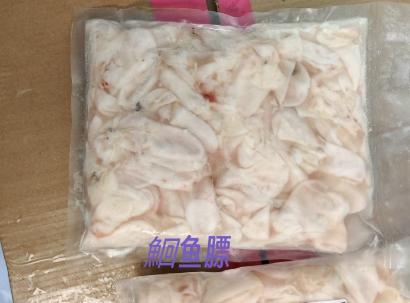 清江鮰鱼鳔