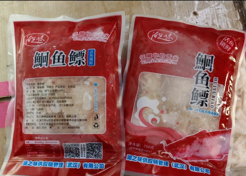 清江鮰鱼鳔