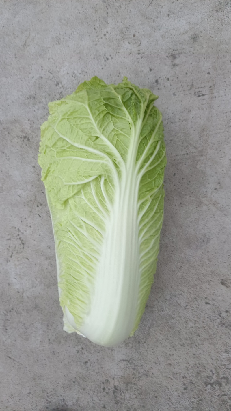 玉田大白菜，北京三号大量装货中！下高速寄到！