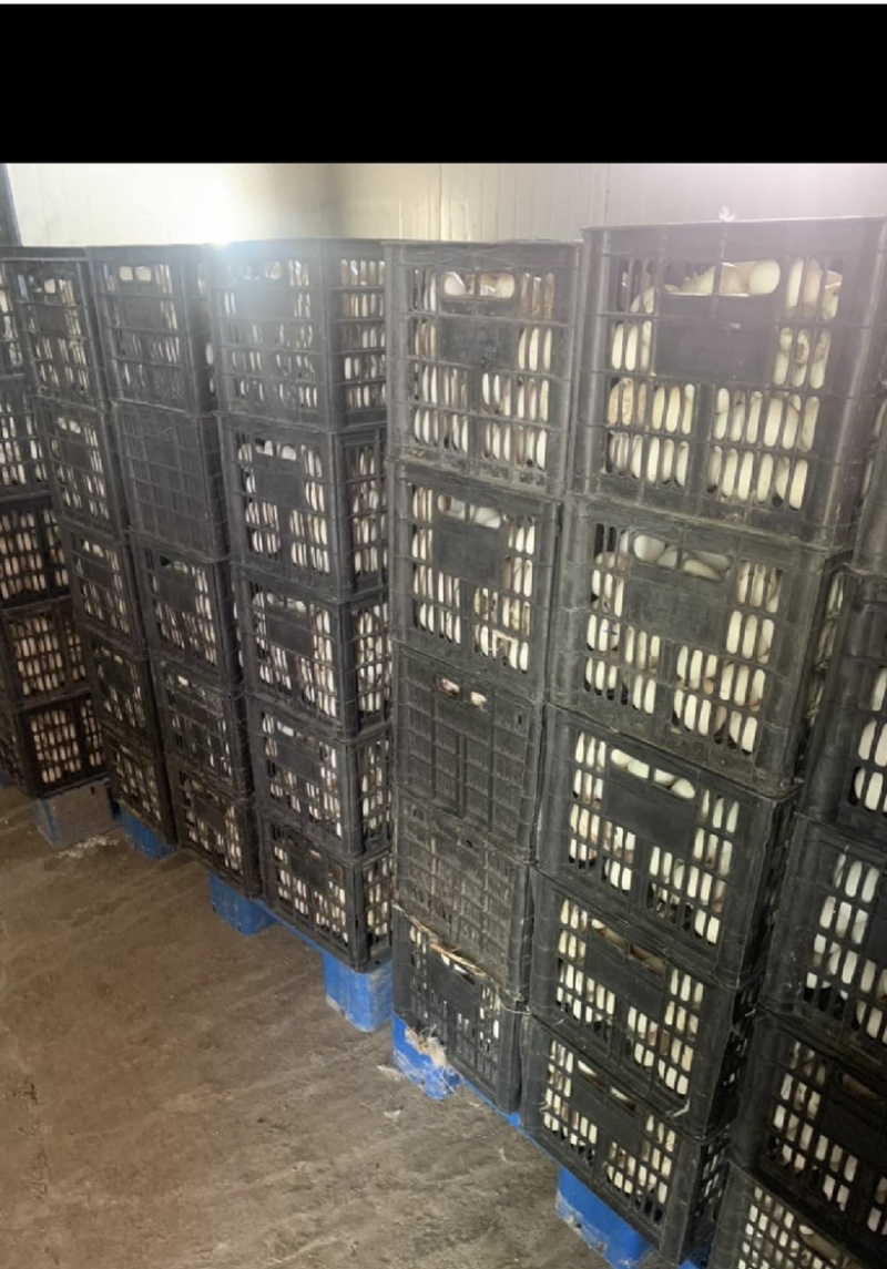 鲜鸭蛋，精品裂纹蛋，社区团购，微商电商一件代发，市场批发