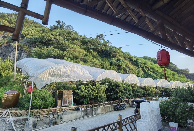 高山果园基地网红山庄农庄家庭农场种植养殖农家乐