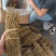 正宗铁皮石斛干条4年仿野生食用特级铁皮石斛花茶鲜条枫斗可