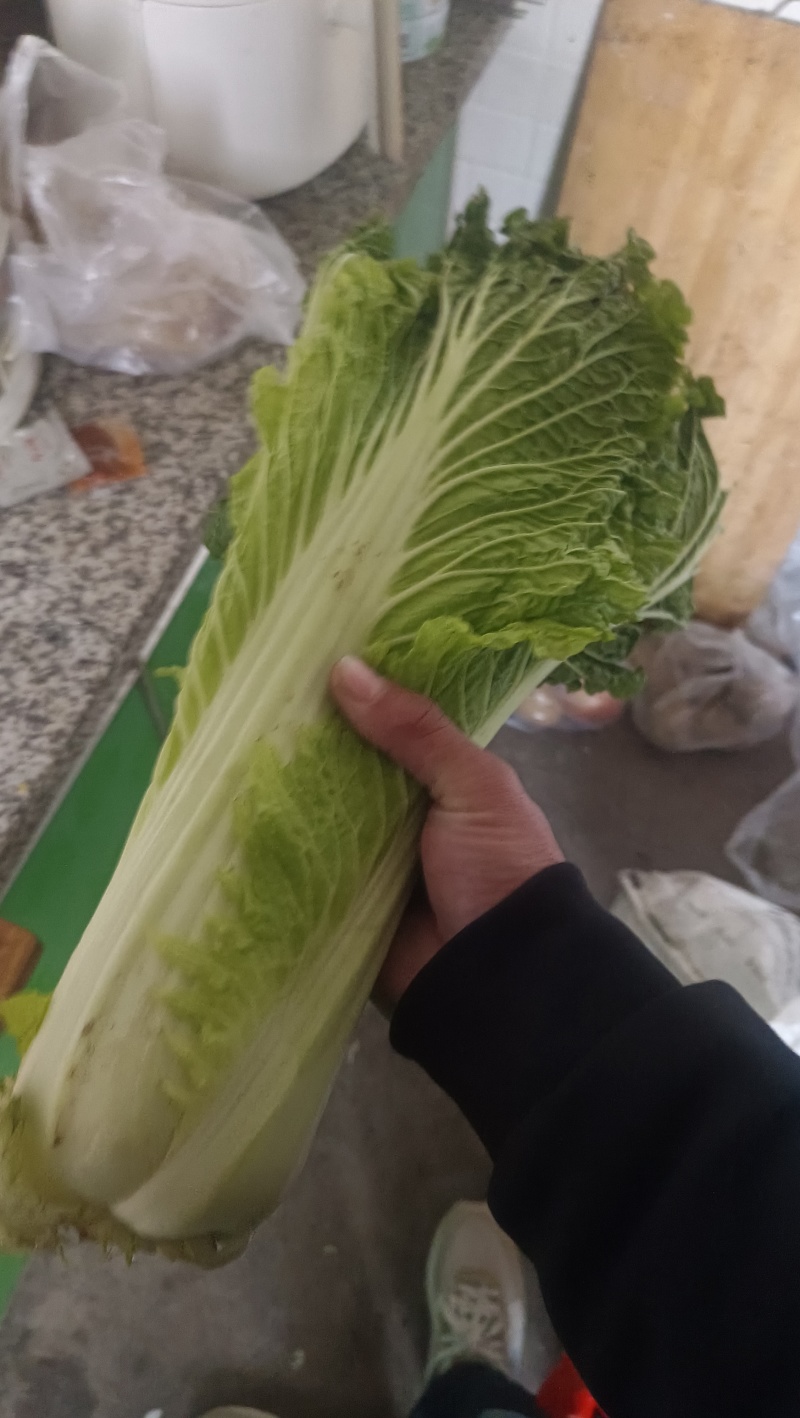 玉田县！天津清，六零陆续上市！需要的可以随时联系我