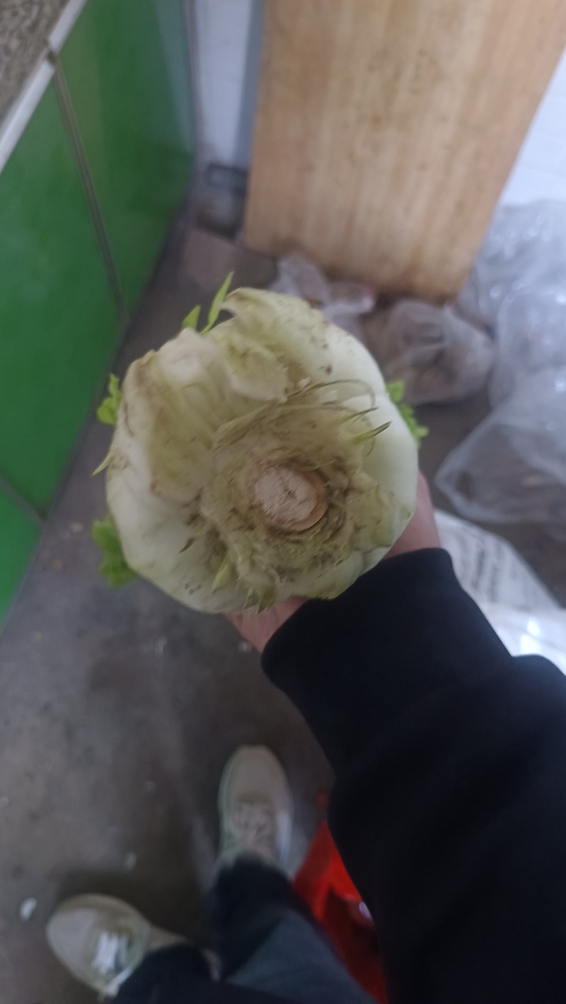 玉田县！天津清，六零陆续上市！需要的可以随时联系我