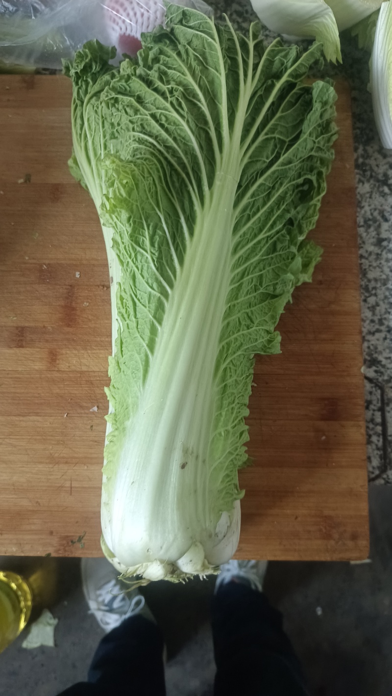 玉田县！天津清，六零陆续上市！需要的可以随时联系我