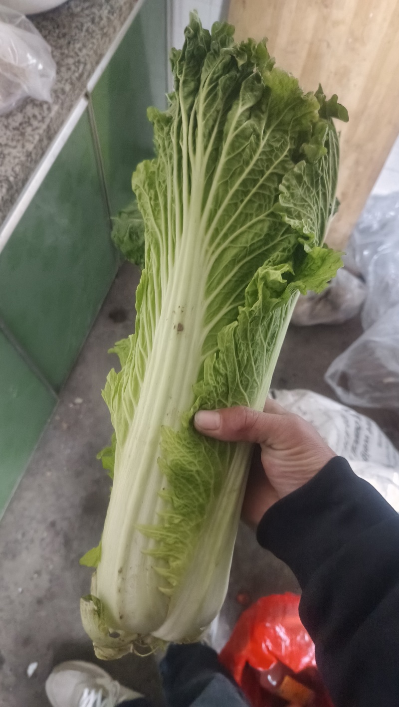 玉田县！天津清，六零陆续上市！需要的可以随时联系我