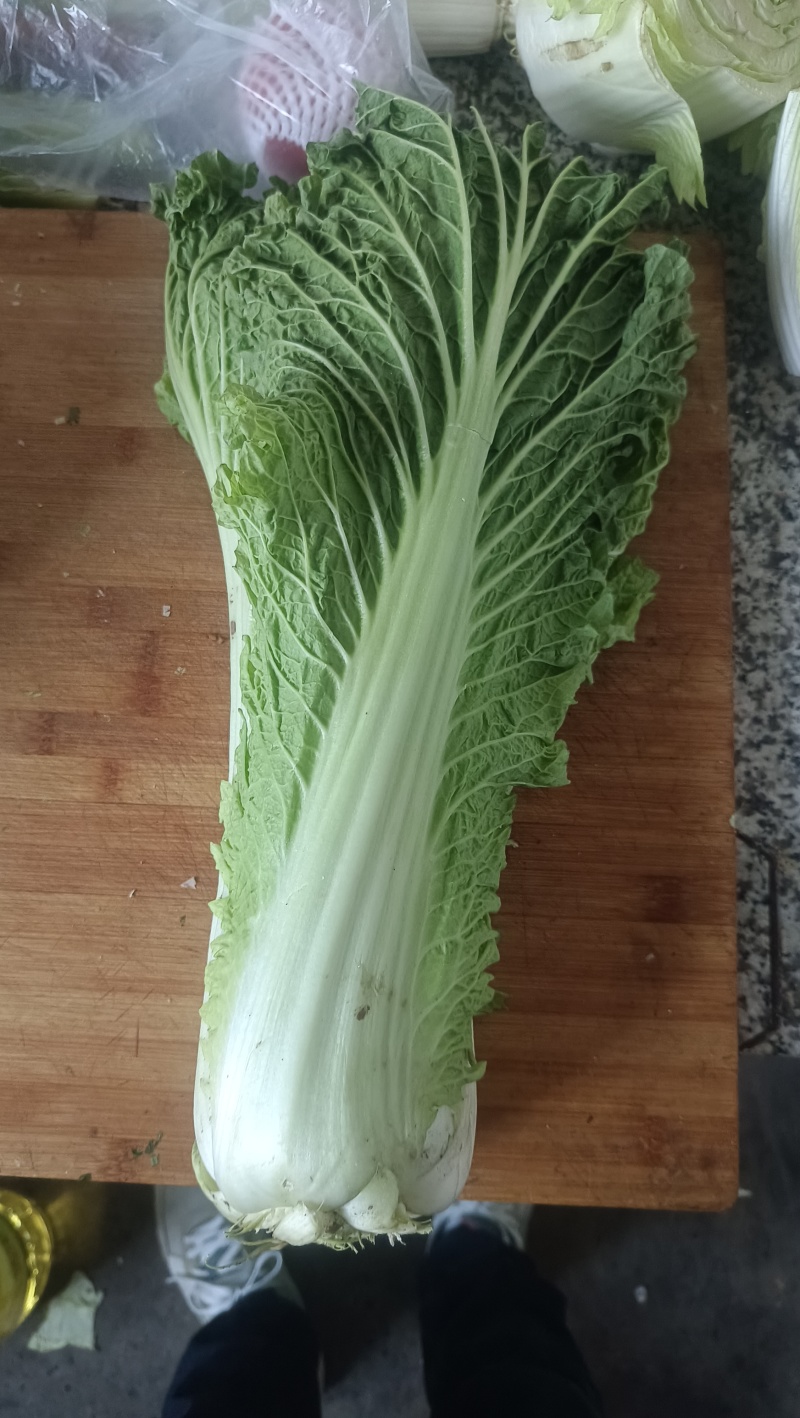 玉田县！天津清，六零陆续上市！需要的可以随时联系我