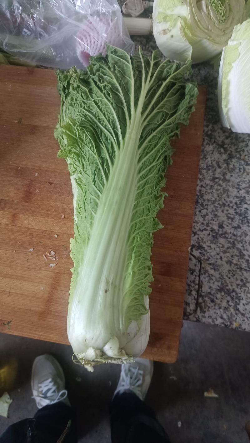 玉田县！天津清，六零陆续上市！需要的可以随时联系我