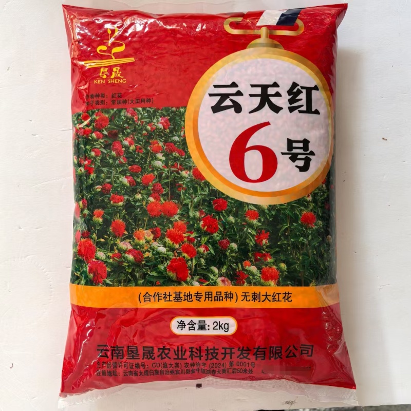 红花种子草红花种籽无刺红花籽优质中草药种子干净无杂质