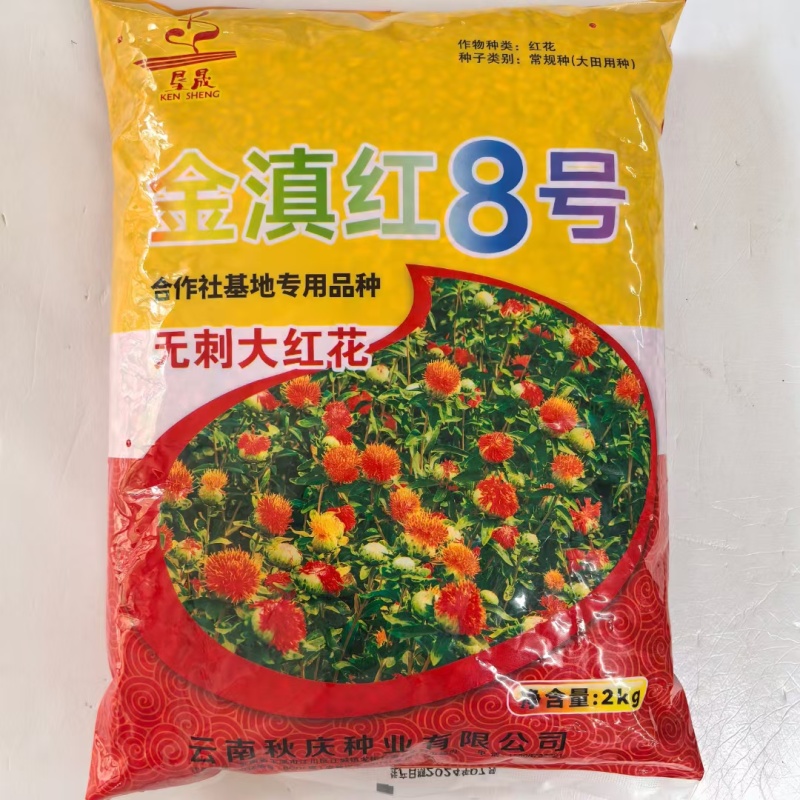 红花种子草红花种籽无刺红花籽优质中草药种子干净无杂质