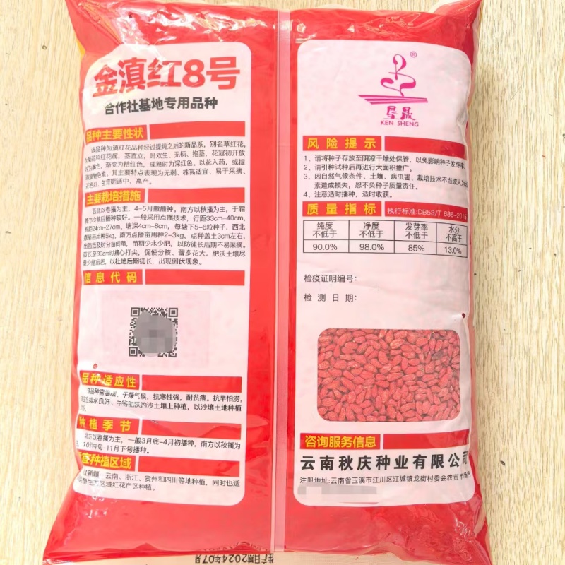 红花种子草红花种籽无刺红花籽优质中草药种子干净无杂质