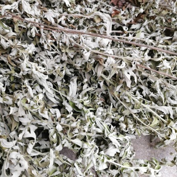 艾叶整棵干艾草叶坐月子洗澡泡脚包批发野生家用艾叶草散装