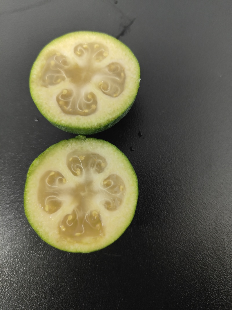 菲油果大量有货产地直发保质保量可视频看货